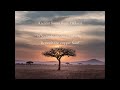 Scatterlings Of Africa Johnny Clegg Juluka Lyrics Video