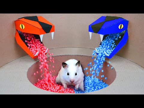 Hamster Escape 🛑 Prison Maze 🛑 Live Stream