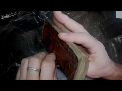 Peace from ground owl