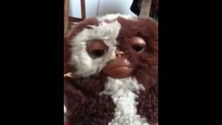 Guizmo chante : Almighty dollar de Ozzy Osbourn