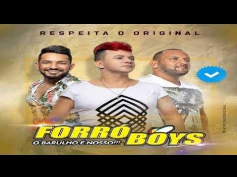 playboizinho  forró boys Vol.08