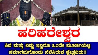 Temple video
