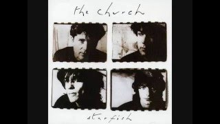 The Church - Under The Milky Way video