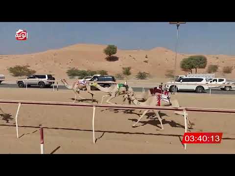  الشوط 24 (مداهمه) لـ عبدالله علي راشد معيصم الكتبي 6:26 , شارة الديوان 2025/10/25 لقايا اللبسه 
