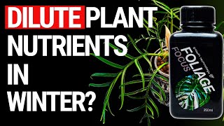 Do You Really Need to Dilute Nutrients in Semi Hydroponics in Winter?
