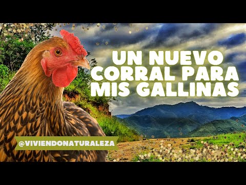 Un Nuevo Corral para mis Gallinas | San Ignacio - Cajamarca - Perú