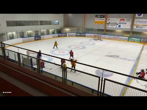 WPL pun -KalPa Etelä Kelt U11 20.2.2021(4. kahvion pääty)