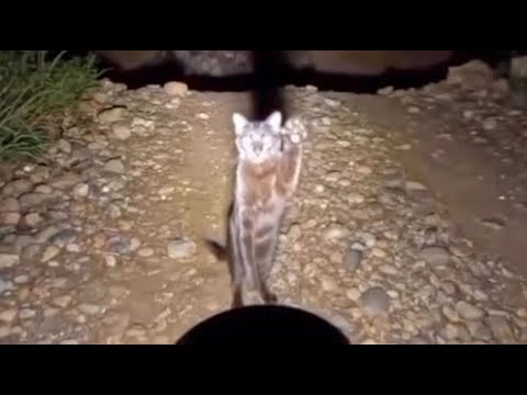 Epic Fail or Lucky Save?