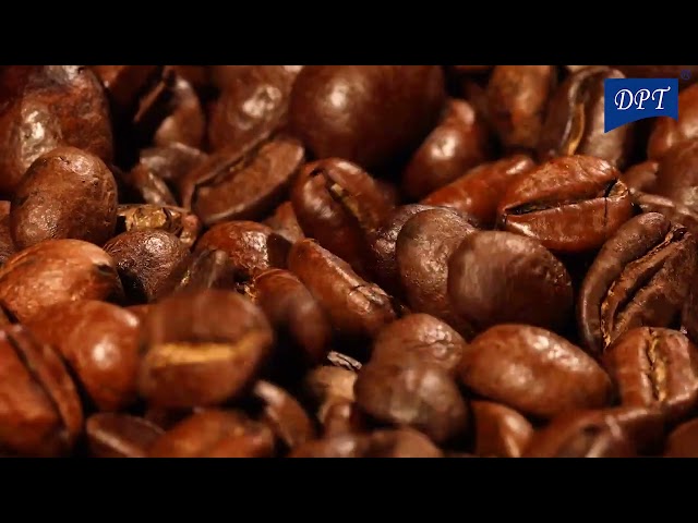 طاحونة قهوة المنيوم يدوية 30 جرام- طحن احترافي ودقيق، يحافظ على نكهة القهوة،ضمان سنتان