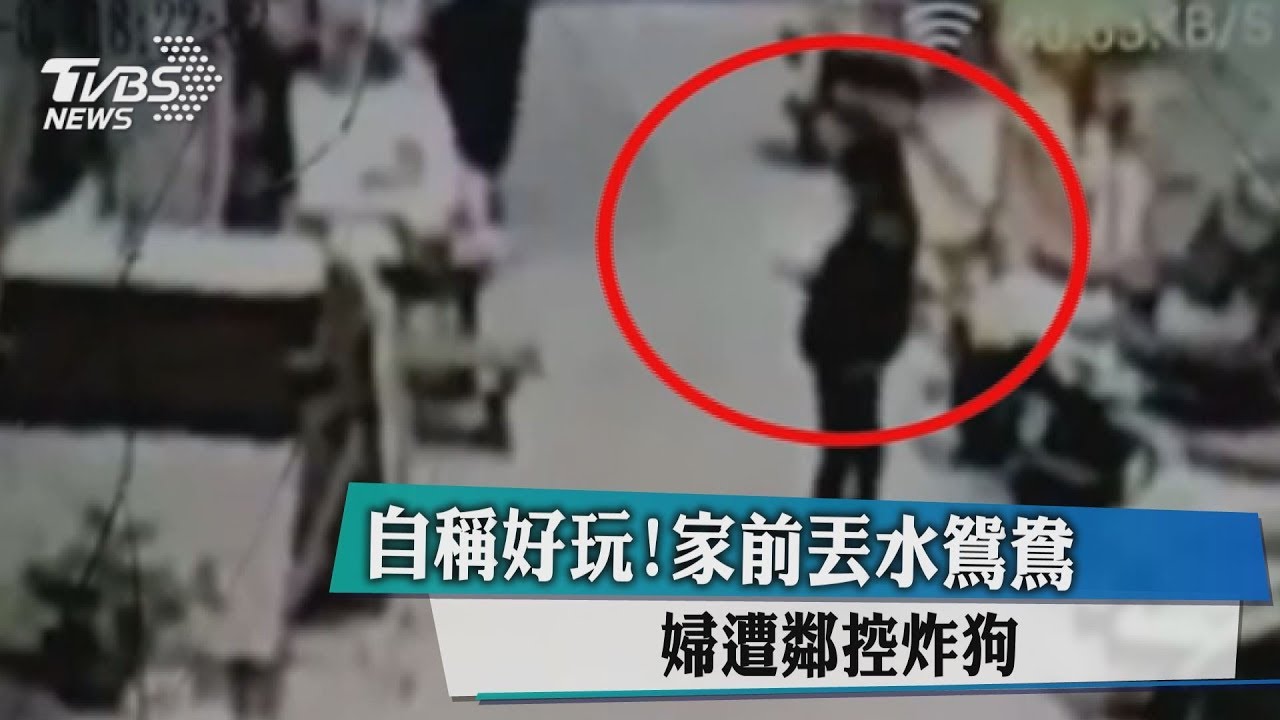 自稱好玩!家前丟水鴛鴦 婦遭鄰控炸狗