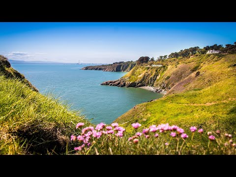 Mukti – Turn toward the Yearning