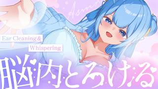 【ASMR】你的大脑会彻底放松 ♡ 耳部清洁拟声词 ASMR / 助眠 / 轻声细语 【梦萌 / HLive】