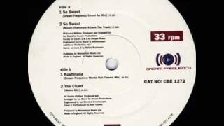 Dream Frequency - The Chant (Metro Mix)