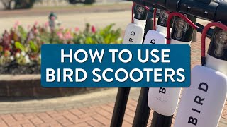 How to Use Bird Scooters | City of Beaumont