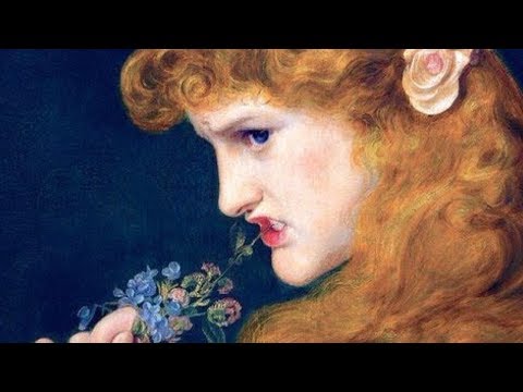 Mandragora - Das Belas