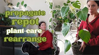 Let's do Plant Chores & Maintenance! | Houseplant Care with me vlog