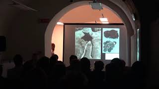 Conferenza Internazionale Human Remains - Pompei 20 maggio 2019 (parte 2 di 3)