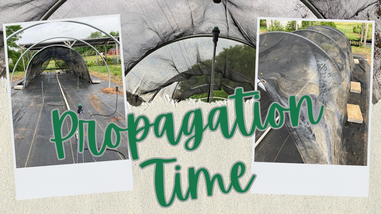 Preparing for Propagation Season