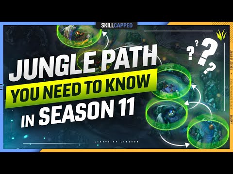 The META Jungle Path EVERY PLAYER MUST KNOW in Season 11 - League of Legends