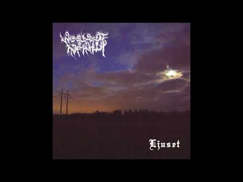 WOODS OF INFINITY - A Love Story