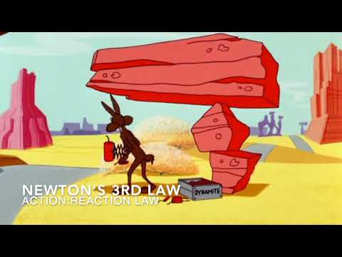 Newton's Three Laws of Motion in Roadrunner