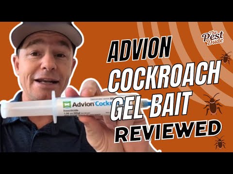 Advion Cockroach Gel Bait: Exterminator Review & Pro Tips