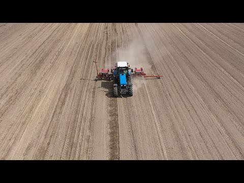 Сельскагаспадарчымі арганізацыямі вобласці завершана сяўба ранніх яравых зерневых і зернебабовых культур видео