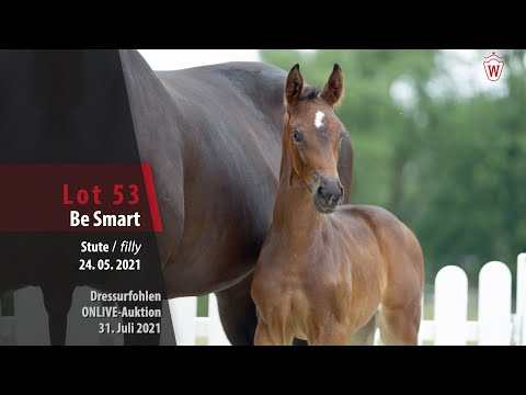 Onlive-Auktion Springfohlen Lot 53 Be Smart Stute v. Bon Courage - Foundation