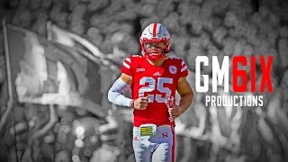 || The White Snake || Nate Gerry Official Career Highlights