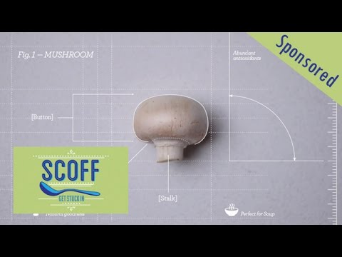 download lagu mp3 mp4 Sweet Tomatoes Mushroom Sage Soup Recipe, download lagu Sweet Tomatoes Mushroom Sage Soup Recipe gratis, unduh video klip Sweet Tomatoes Mushroom Sage Soup Recipe