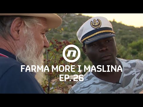 Čeka nije sigurna? - Epizoda 26 | Farma More i Maslina