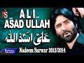 Nadeem Sarwar Ali Asadullah 2013 2014 علی اسداللا