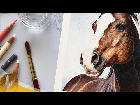 Realistic Colored Pencil Horse Drawing - Timelapse