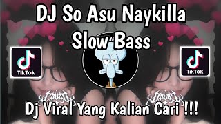 Download lagu DJ SO ASU NAYKILLA SLOW VIRAL TIKTOK FULL SONG VIRAL TIK TOK TERBARU 2025 YANG KALIAN CARI ! mp3