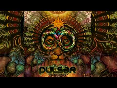 Pulsar & LunaRave - Time Perspective ᴴᴰ