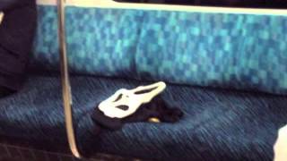 Attachment Free/Star Fruits Surf Rider(Corneliusカバー)