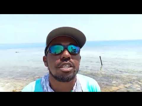 Stann Creek Residents Continue Advocating for the Preservation of Silk Caye