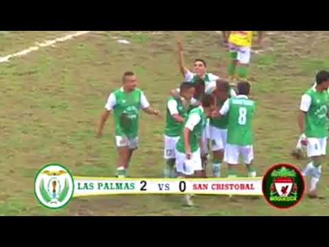 COPA PERÚ: RESUMEN LAS PALMAS VS SAN CRISTOBAL