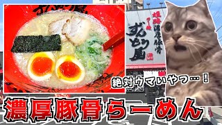 【ラーメン】ずんどう屋で濃厚豚骨ラーメンとチャーハンで優勝した話【猫ミーム】