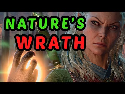 LAND DRUID Can Do EVERYTHING - Jaheira / Halsin Honour Build Guide