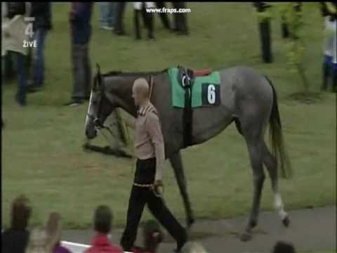 Shamal sally(USA)
