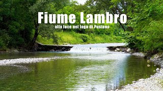 Fiume Lambro alla foce nel lago di Pusiano