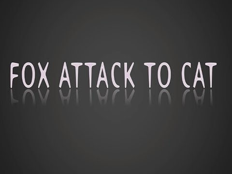 FOX ATTACK  CAT
