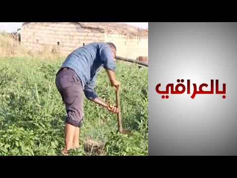 شاهد بالفيديو.. المختار: اتفاقية الإطار بين العراق وتركيا لم تمنح العراق حقوقه المائية