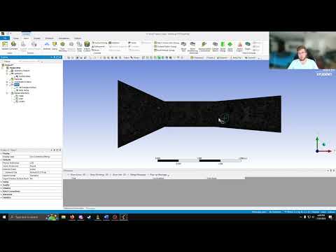 Fluids Fluent Project 3 Wind Tunnel