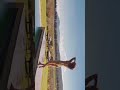 Kiara Bikini Scene War 2 Teaser Movie Entertainment Bikini Kiaraadvani Fap