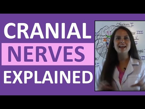 Cranial Nerves Anatomy | Cranial Nerves Mnemonic Made Easy