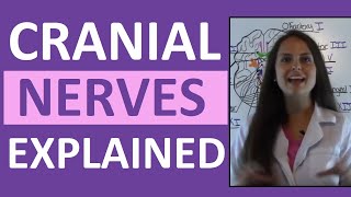 Cranial Nerves Anatomy | Cranial Nerves Mnemonic Made Easy