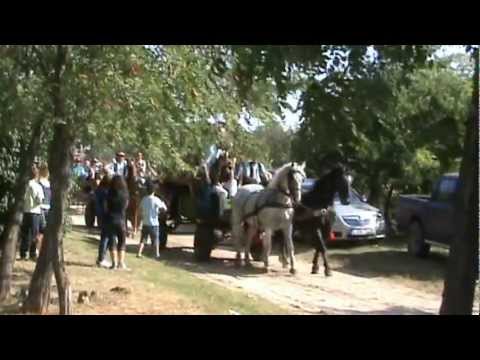 Seregélyes-Szőlőhegy 2011 falúnap