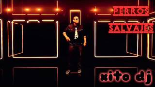 DADDY YANKEE PERROS SALVAJES (REMIX)